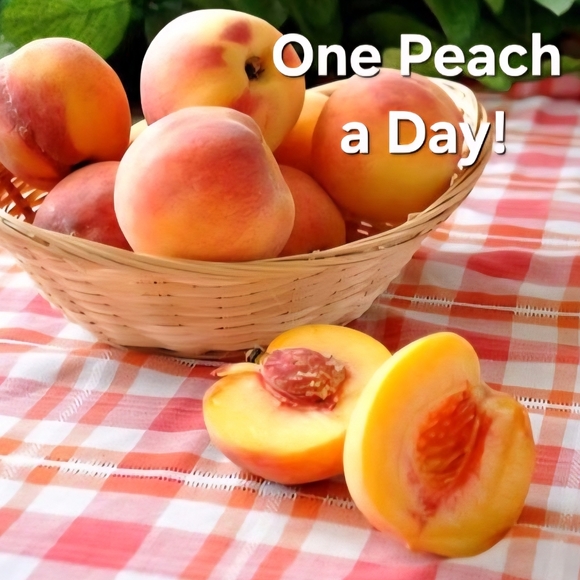 Bambis Bubbles Hand Crafted Lip Balm Mini 10ml Each Assorted Flavors Available - Picture 13 of 14